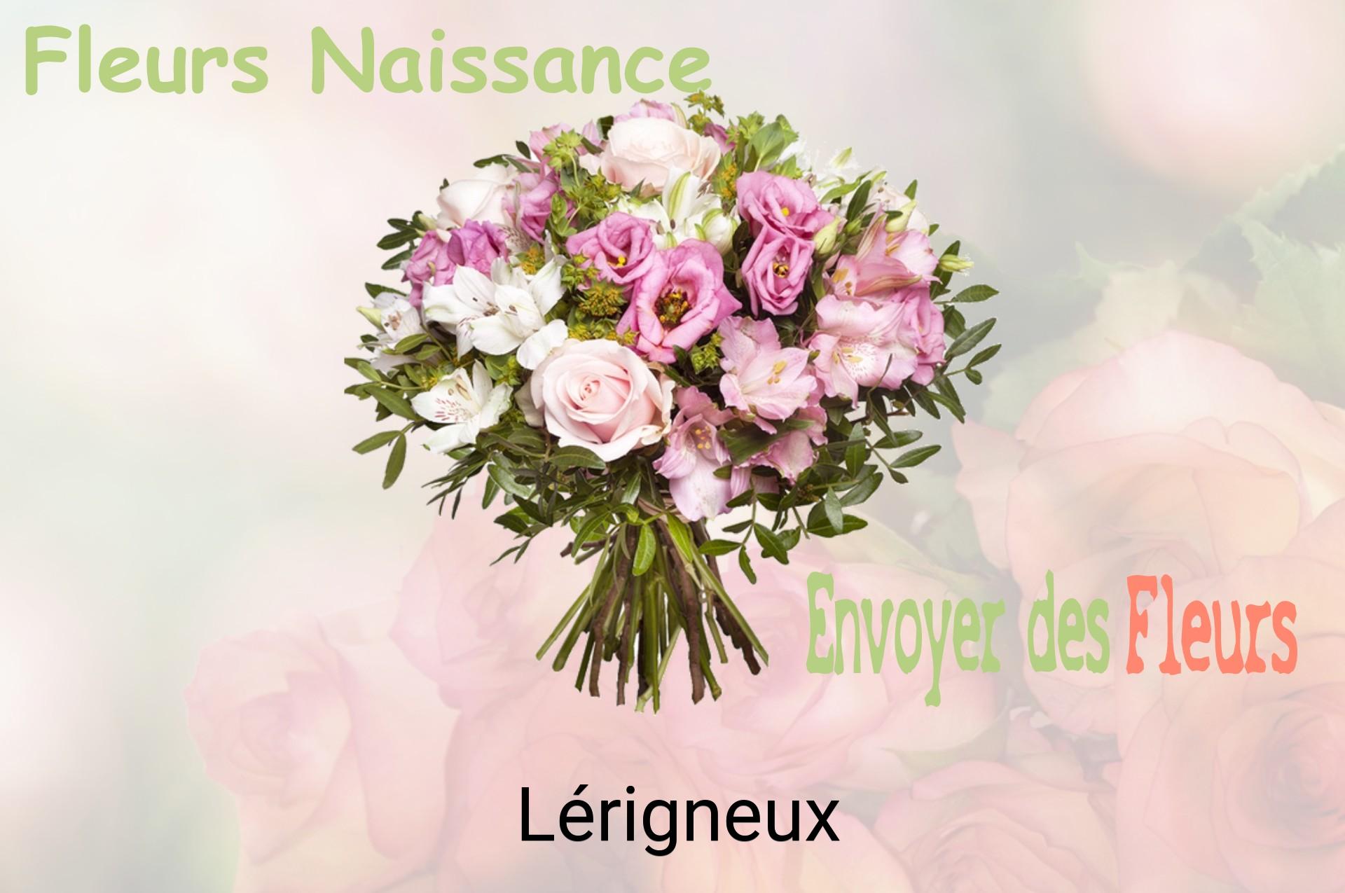 Bouquet de fleurs de naissance livré à Lérigneux