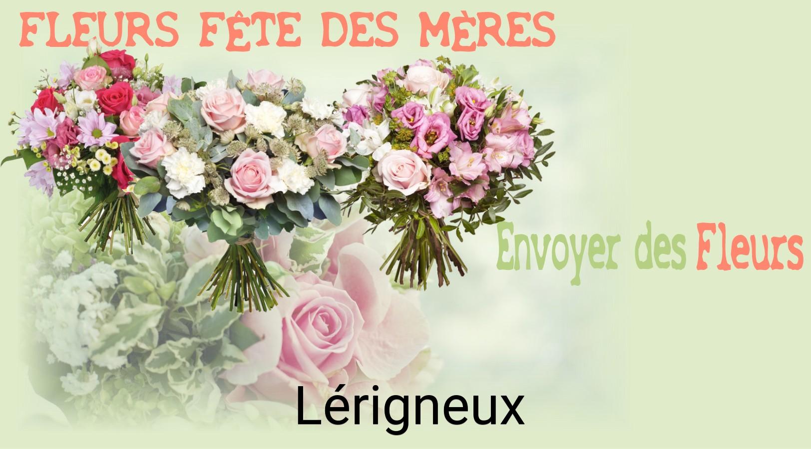 Bouquet de Fête des Mères livré à Lérigneux